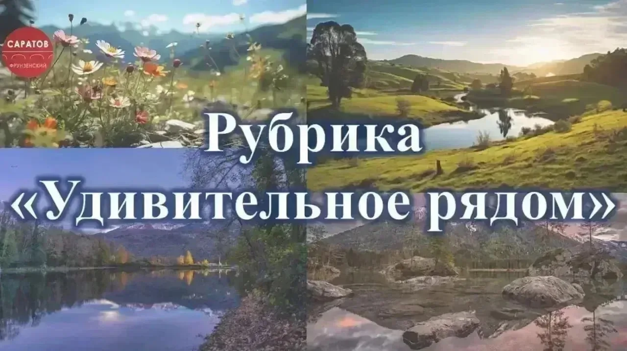 Рубрика «Удивительное рядом»
  
🌊 Щербиновский водопад на Медведице
 
🌿Один из немногих на наших р