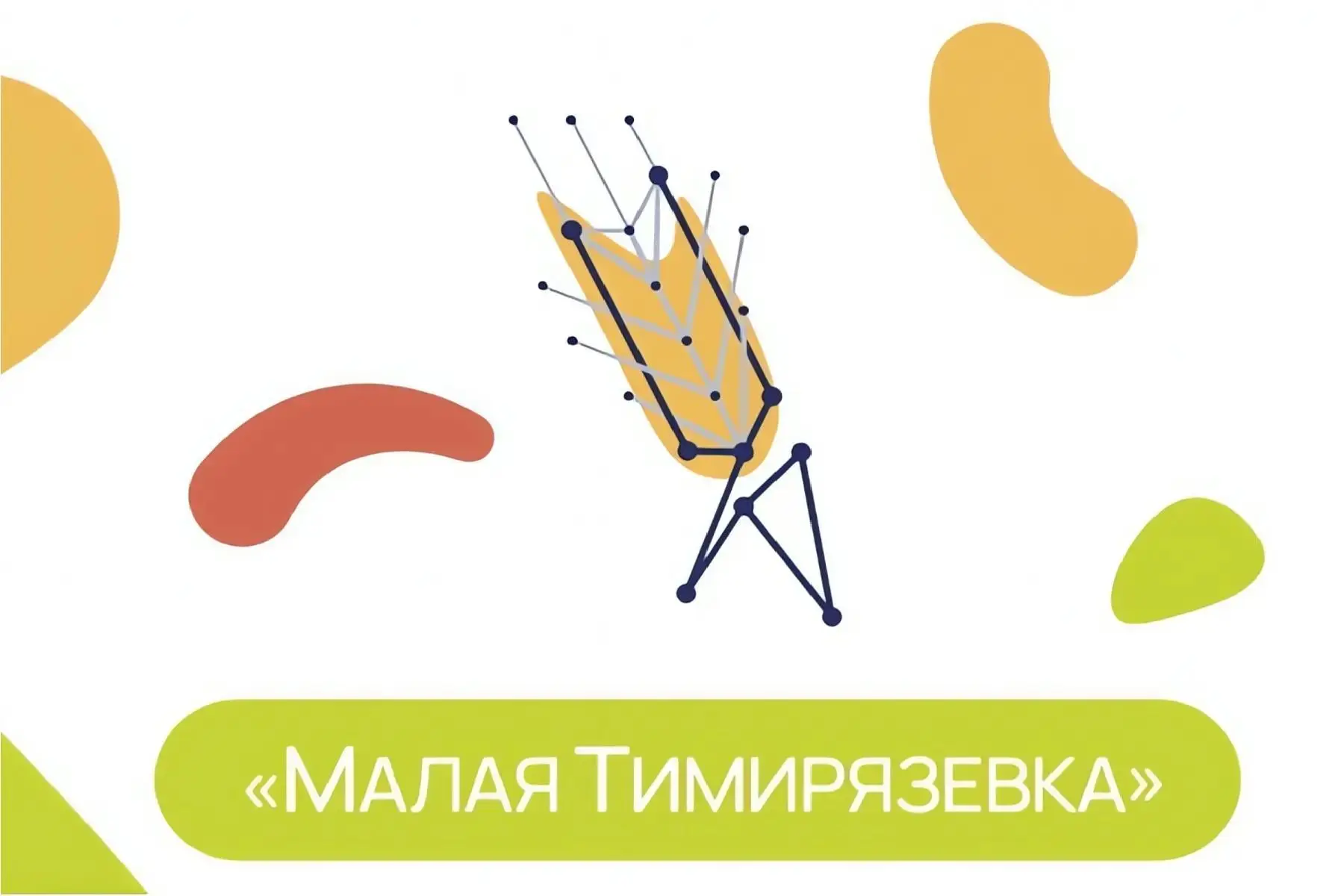 🌟 Региональный этап всероссийского сетевого образовательного проекта «Малая Тимирязевка» проходит в
