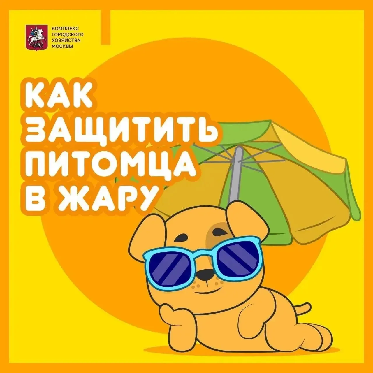 ☀️ Жара и прогулки: как не навредить питомцу?

Летний зной — серьёзное испытание не только для нас, 