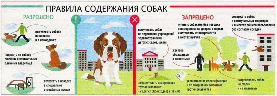 УВАЖАЕМЫЕ РОДИТЕЛИ!

ВО ИЗБЕЖАНИЕ НЕСЧАСТНЫХ СЛУЧАЕВ, ПРОСИМ НЕ ДОПУСКАТЬ
НАХОЖДЕНИЕ СОБАК НА ТЕРРИТ