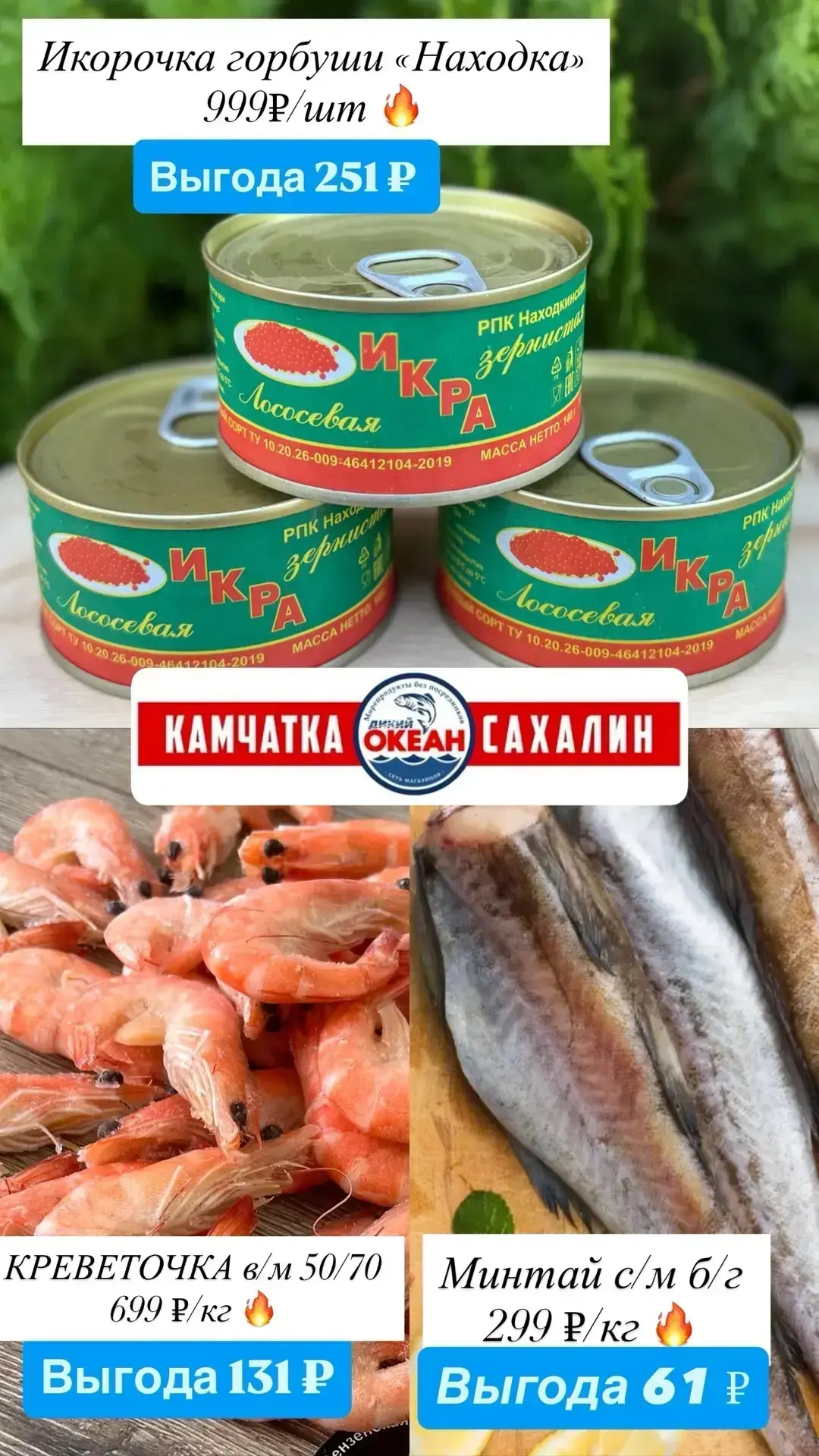 ЖАРКАЯ ЛЕТНЯЯ АКЦИЯ «ВЫГОДНЫЙ УЛОВ» 🔥🥳 🎣Встречайте супер - выгодное предложение в «О...