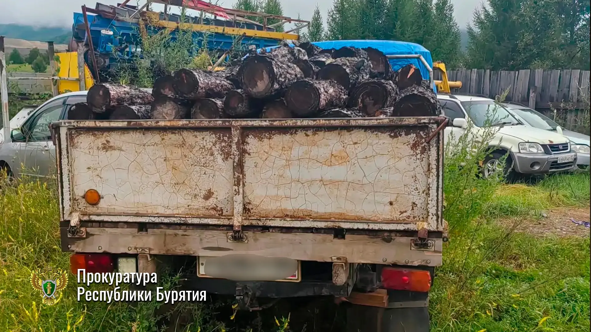 В Бурятии будут судить черного лесоруба