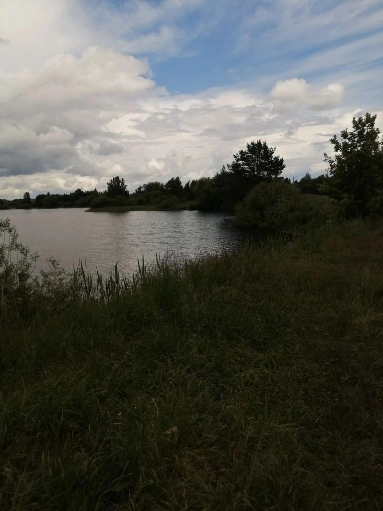 Профилактические рейды на водные объекты       В течение летнего периода учителями нашей школы и пре