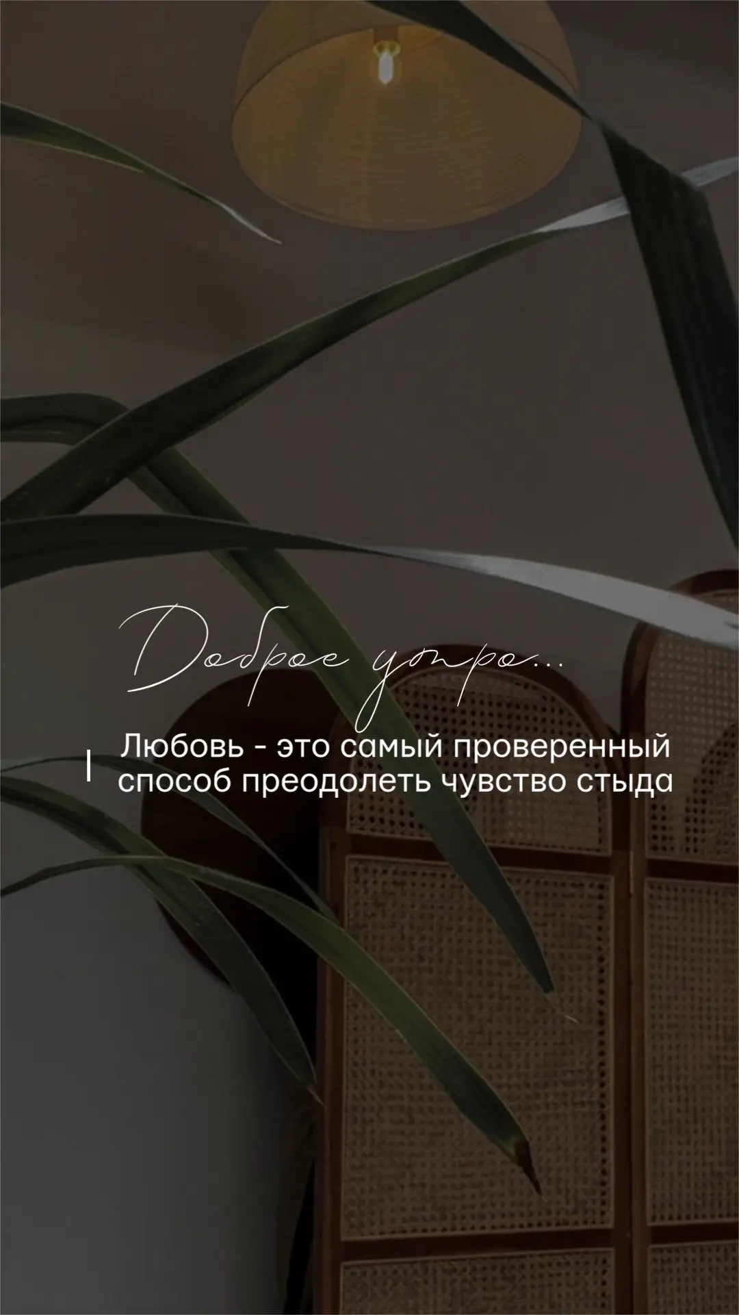 ★ БЬЮТИ КОНТЕНТ В MAX
★ БЬЮТИ КОНТЕНТ В Тг