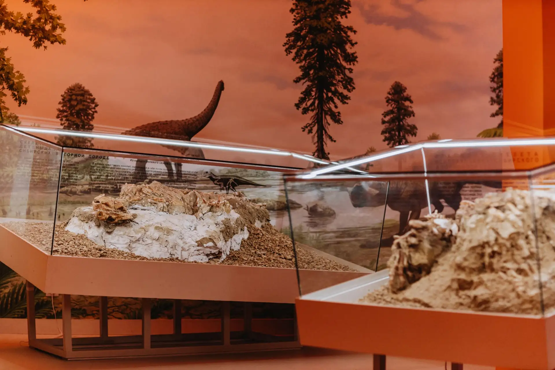 Начинается период активной подготовки к Динотерре! 🦖

Проверим список того, что нужно взять с собой
