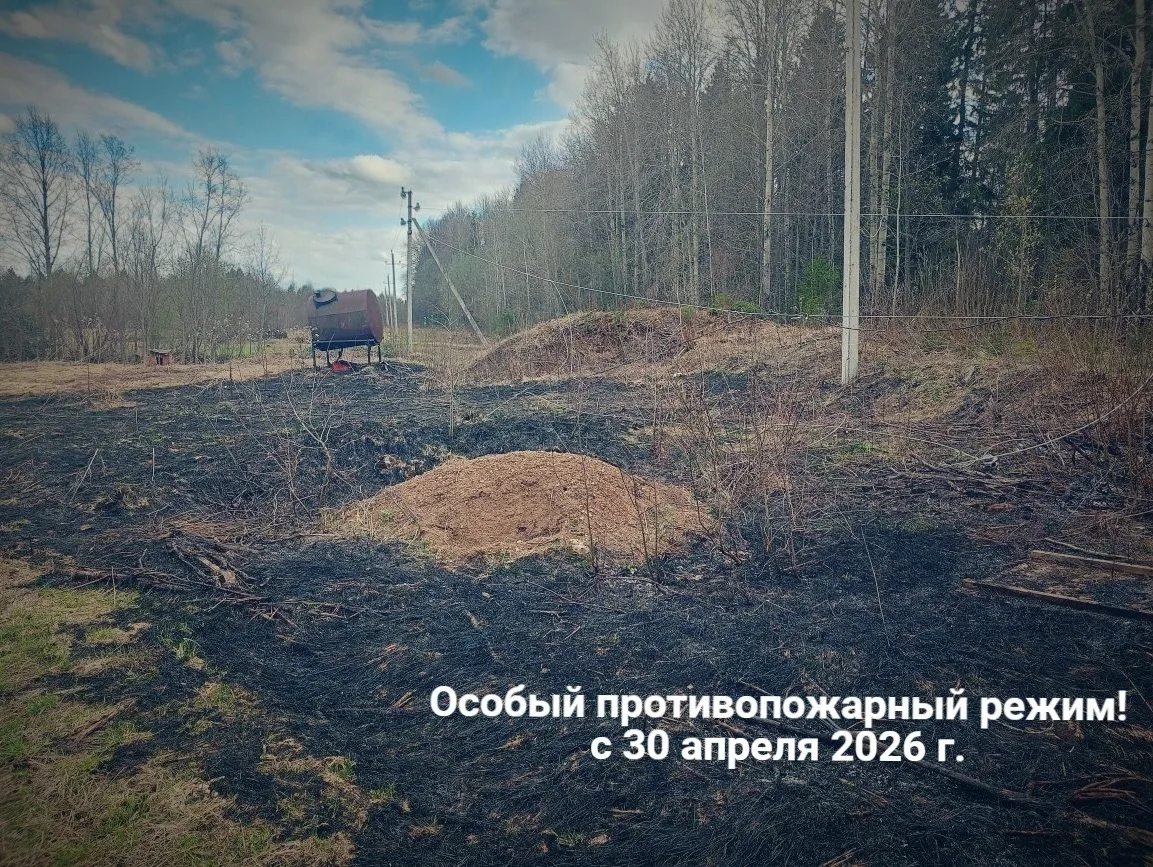 На территории Республики Башкортостан с 30 апреля по 12 июня 2026 года введён особый пр...