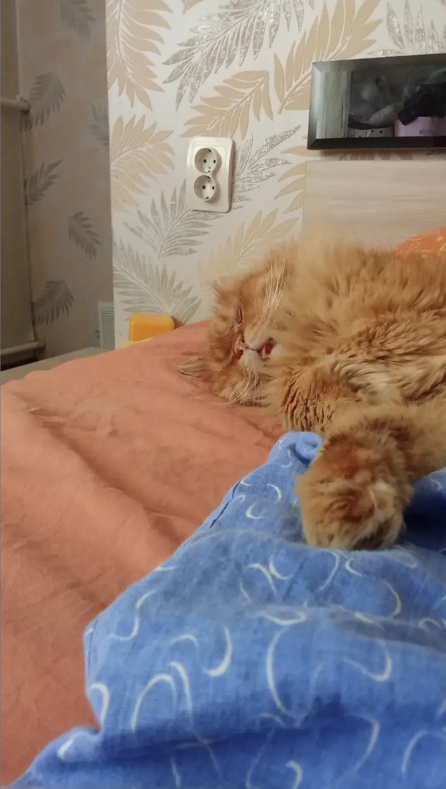 🍁 Вот так мы себя чувствуем 1 сентября