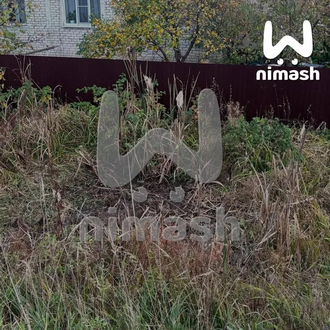❗️Медведь напал на сторожевую собаку в одном из частных дворов в Шахунье