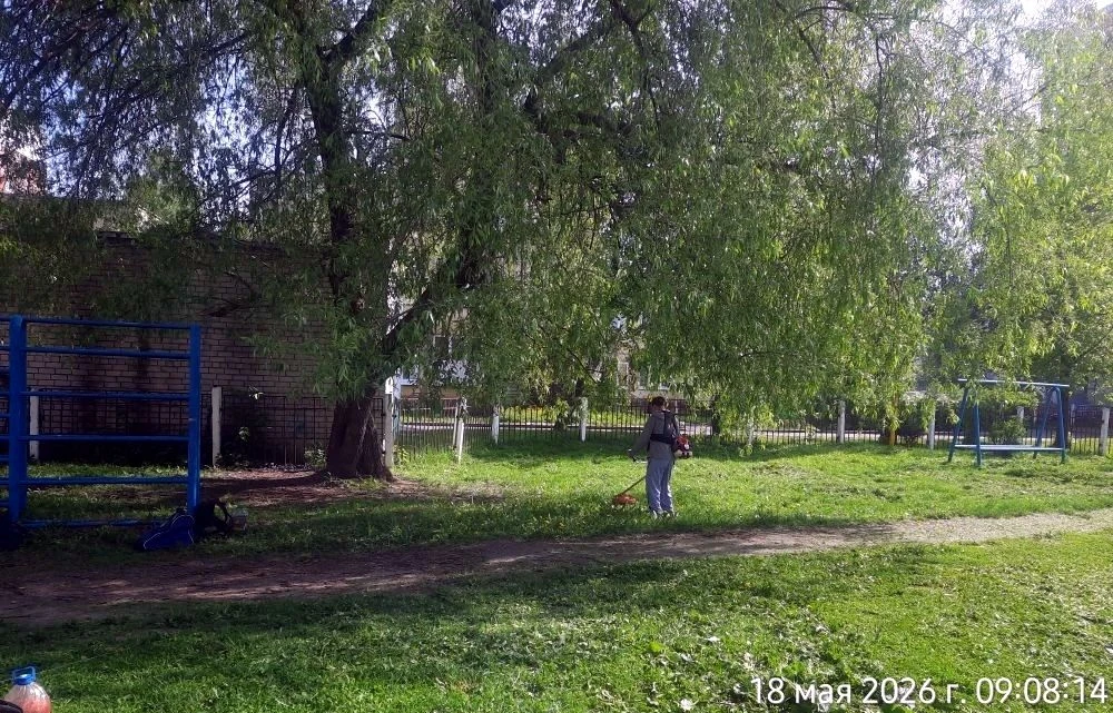 🌱Стартовал сезон покоса Приступили к покосу травы во дворах. Свежескошенная трава пахнет детством, д