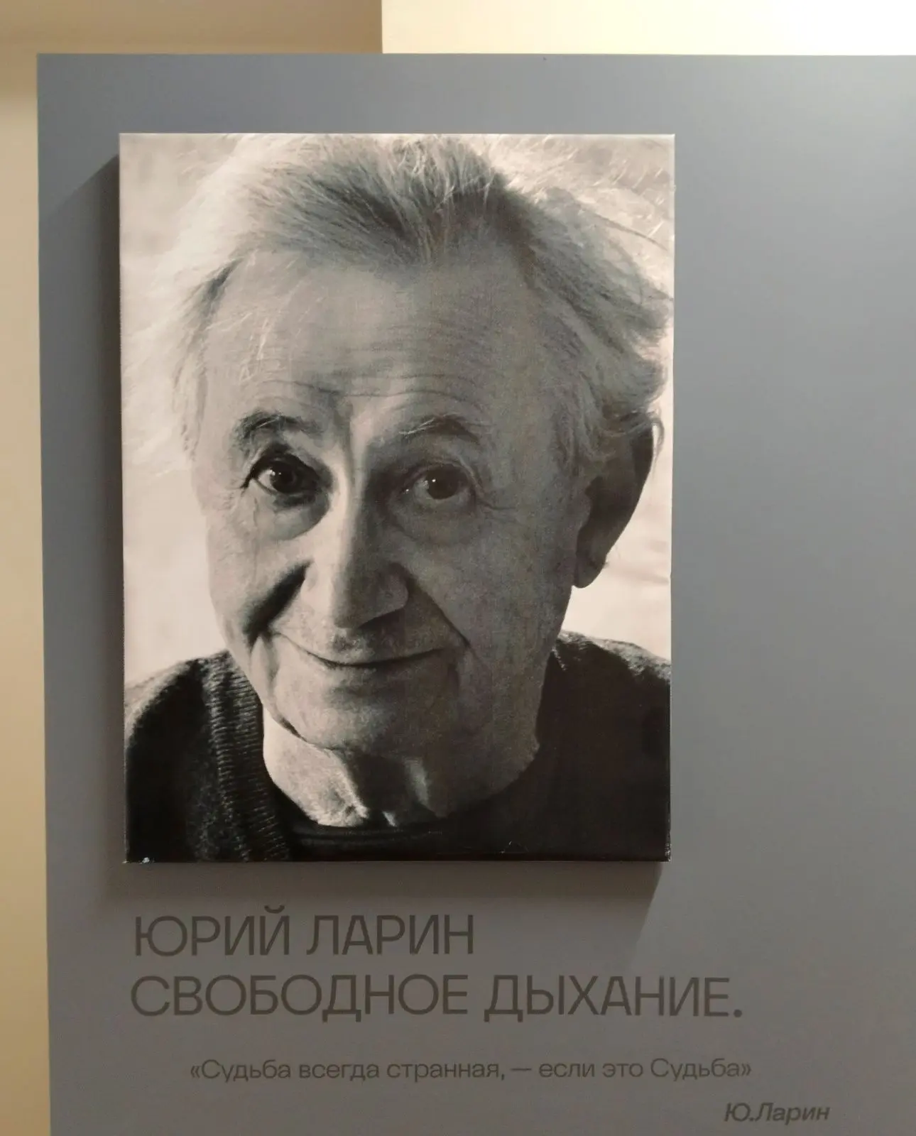 🎨 Юрий Ларин. Свободное дыхание. Дом на Набережной.