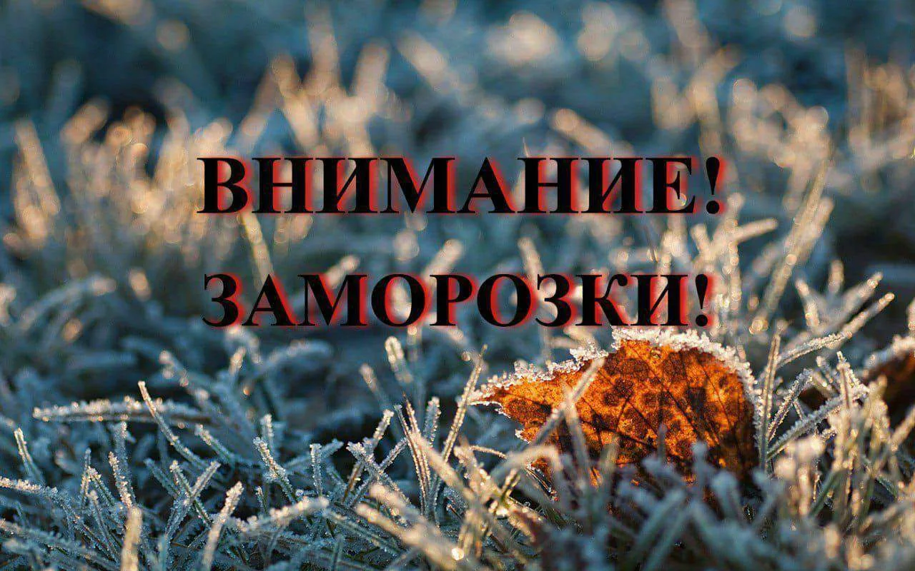 ❄️ Внимание! По данным Башгидромета, ночью 29 августа по 01 сентября местами по республ...