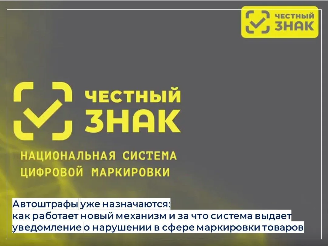 ⚠️Автоштрафы уже назначаются: как работает новый механизм и за что система выдает уведо...