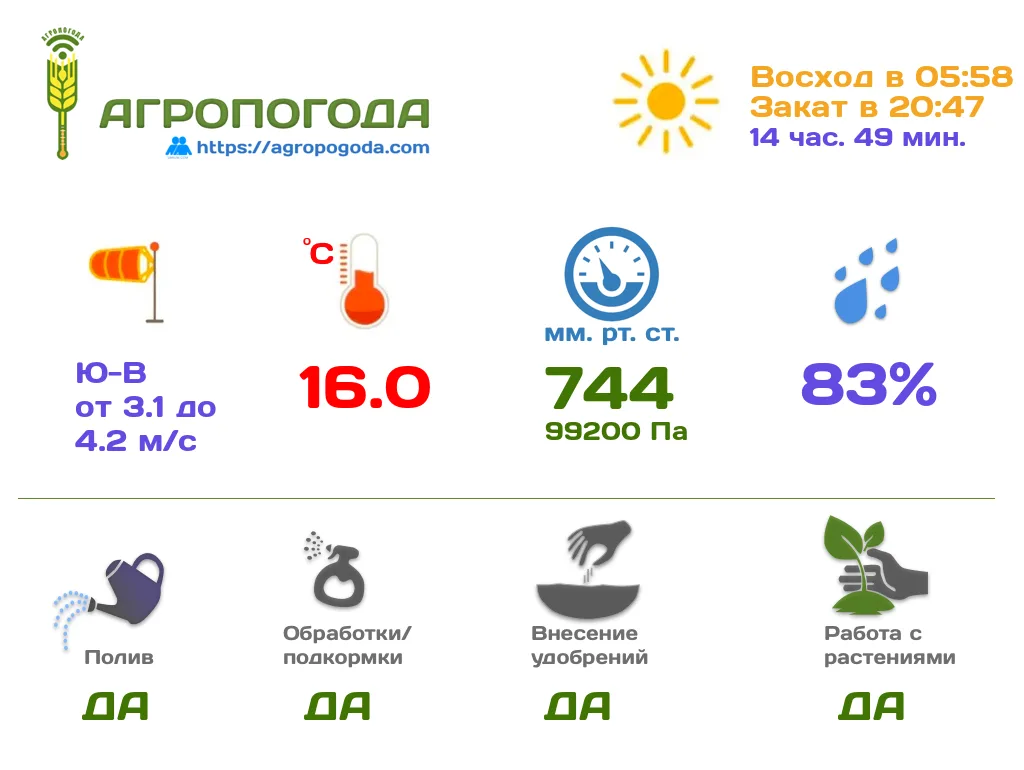 Агрометеорологическая сводка на 20.08.2026 (08:59)