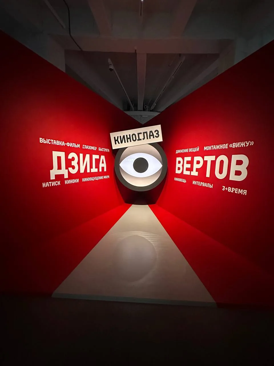 «Дзига Вертов. Киноглаз»