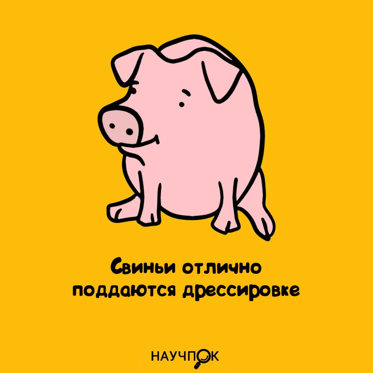 Научпок | Подписаться
