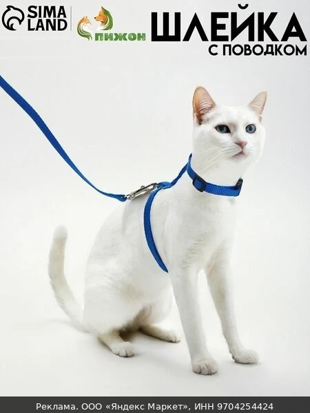 🐾Комплект для кошек, ширина 1 см, ОШ 16.5-27 см, ОГ 21-35 см, поводок 120 см, синий