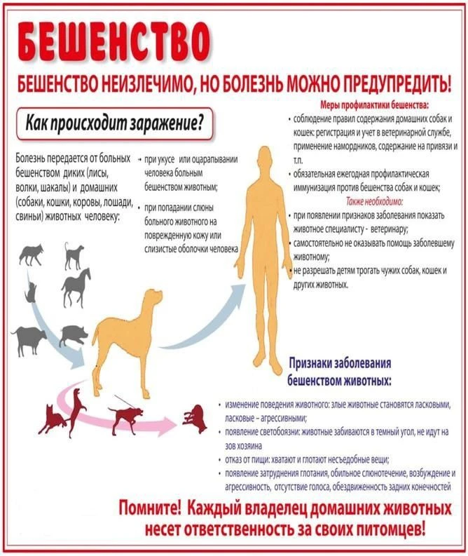 ❗️ПАМЯТКА ДЛЯ НАСЕЛЕНИЯ❗️
