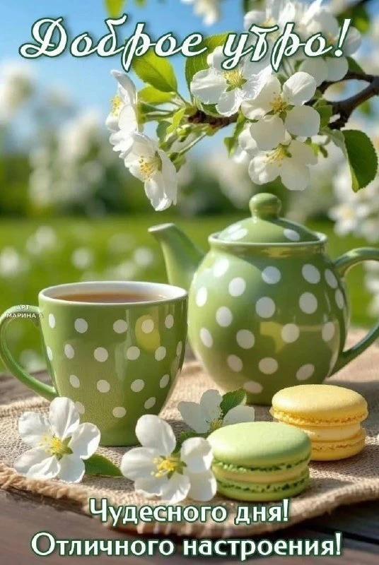 Открытки и приколы 🌸
Подписаться 👈
