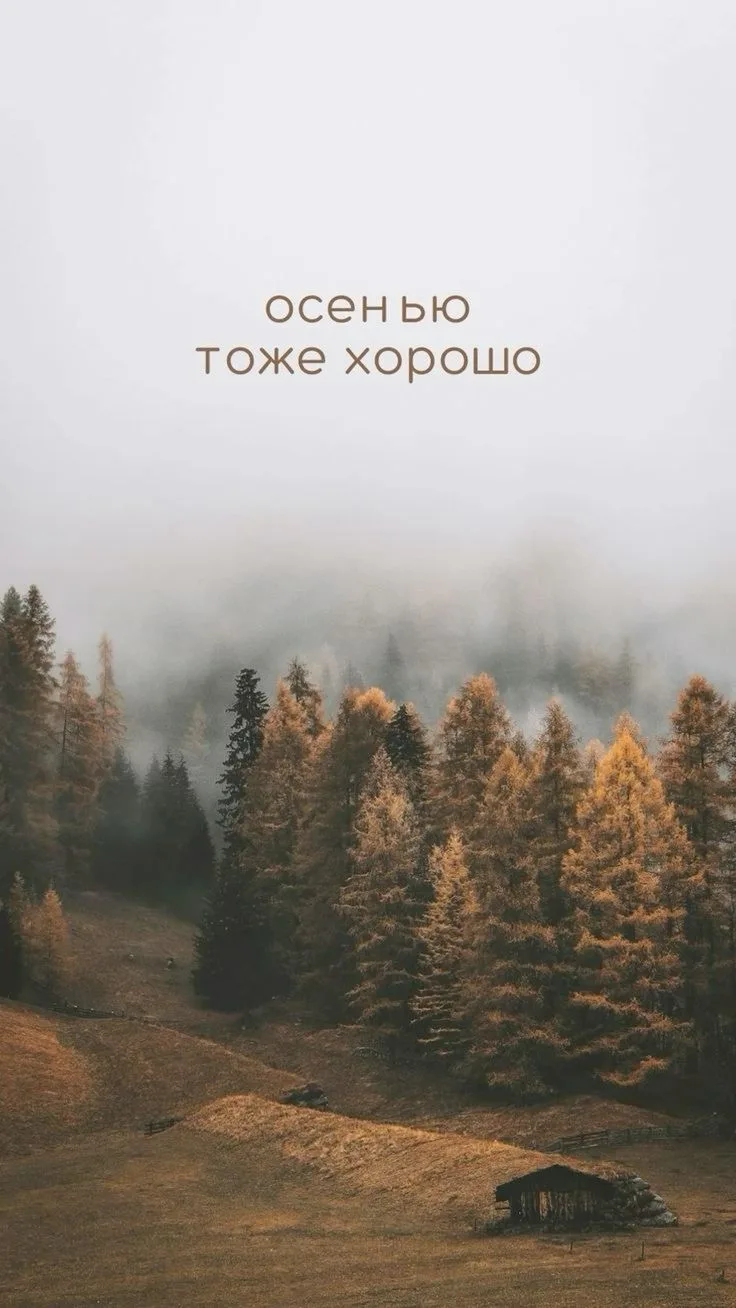 🍁Первый день сентября — идеальный повод обновить не только календарь, но и главный экр...