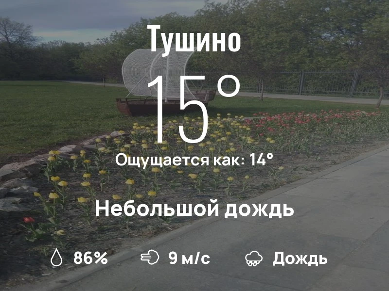 Что с погодой в Тушино?