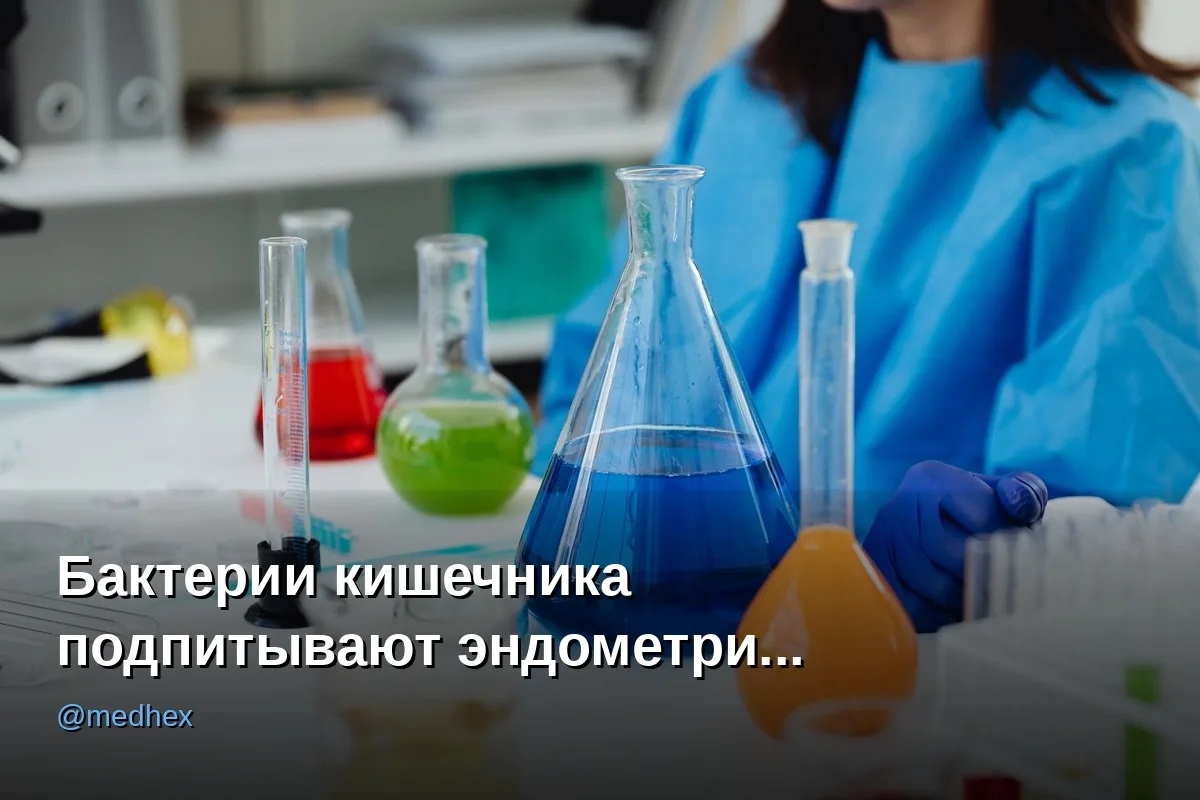 🦠 Кишечные бактерии эндометриоза производят в разы больше эстрогена