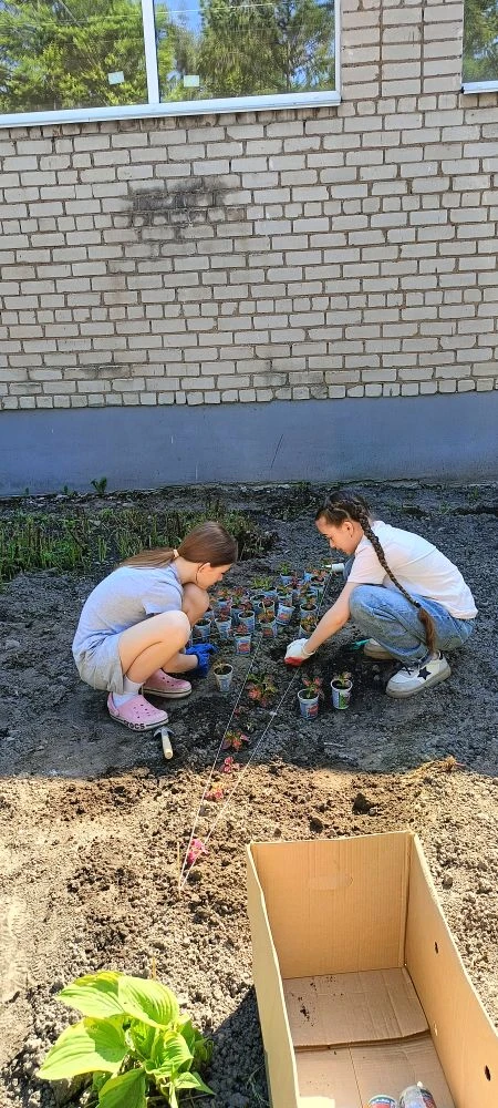 🌼 У нас появилась своя клумба — клумба Первых! 🌼

Сегодня случилось маленькое чудо: активисты наше