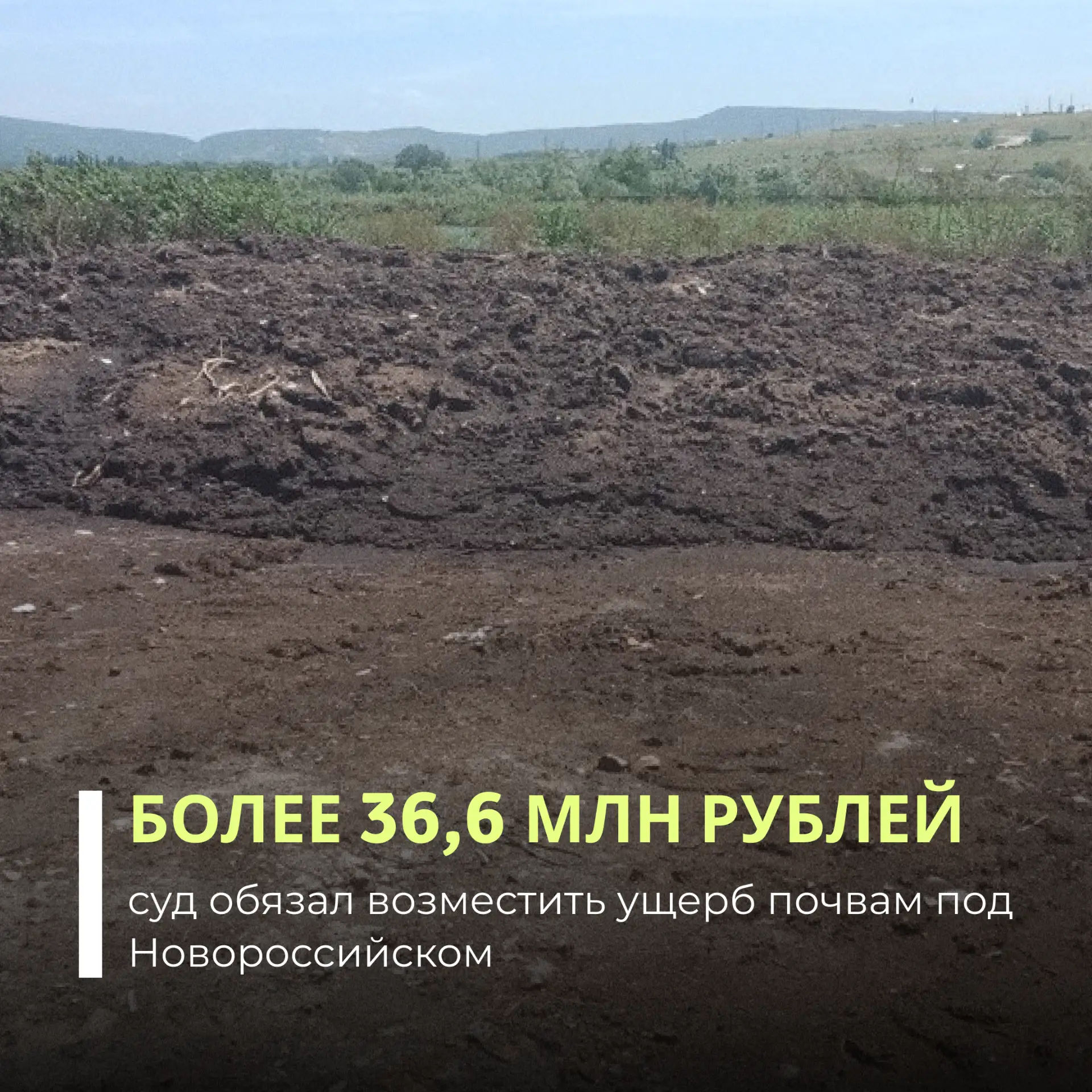 Приморский районный суд Новороссийска поддержал требования Росприроднадзора о взыскании...