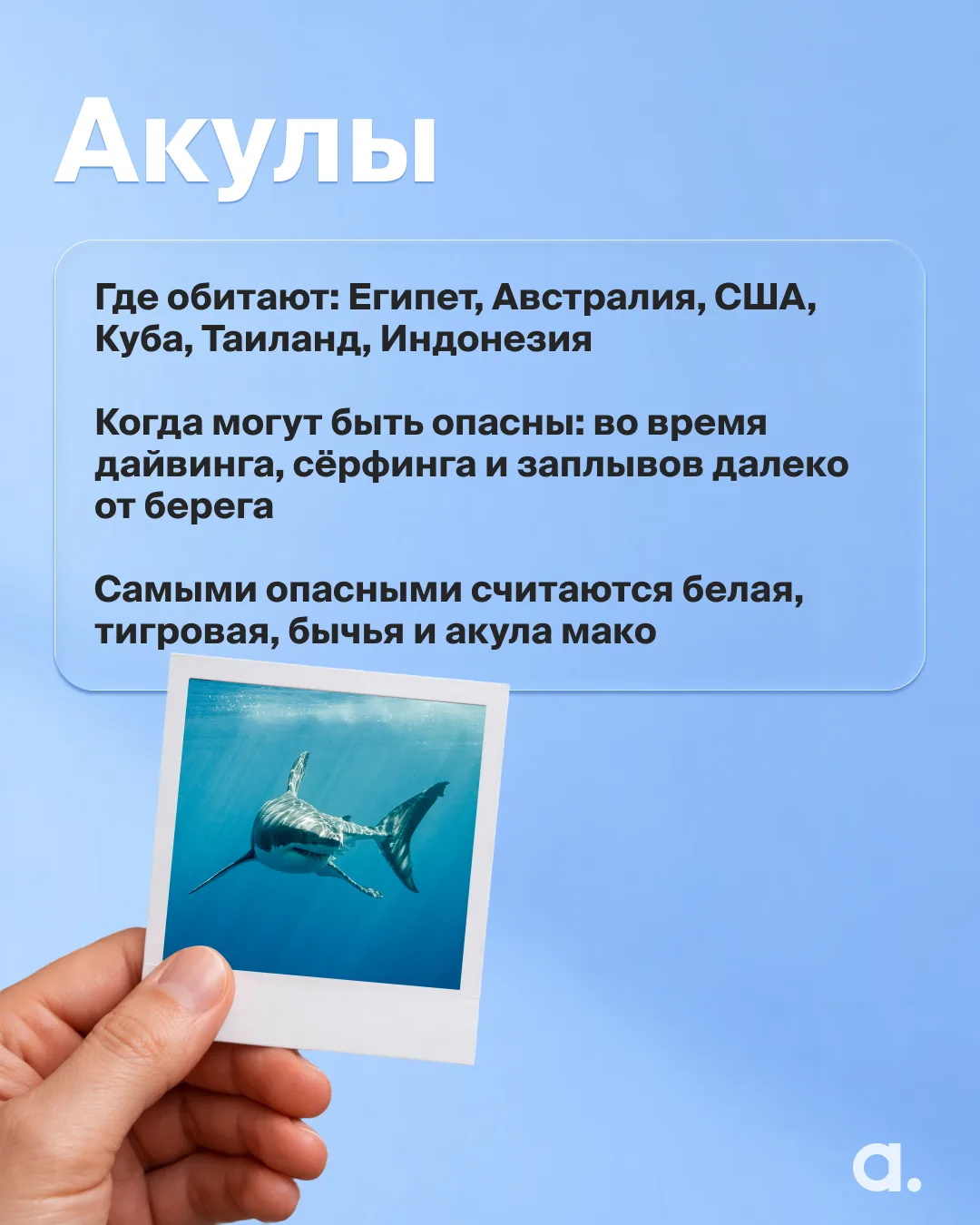 Топ самых опасных животных планеты 🌎