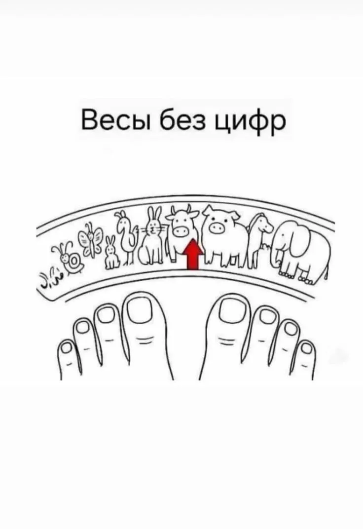 Лето — это не только время лёгких платьев и прогулок, но и отличный повод подарить себе новую привыч