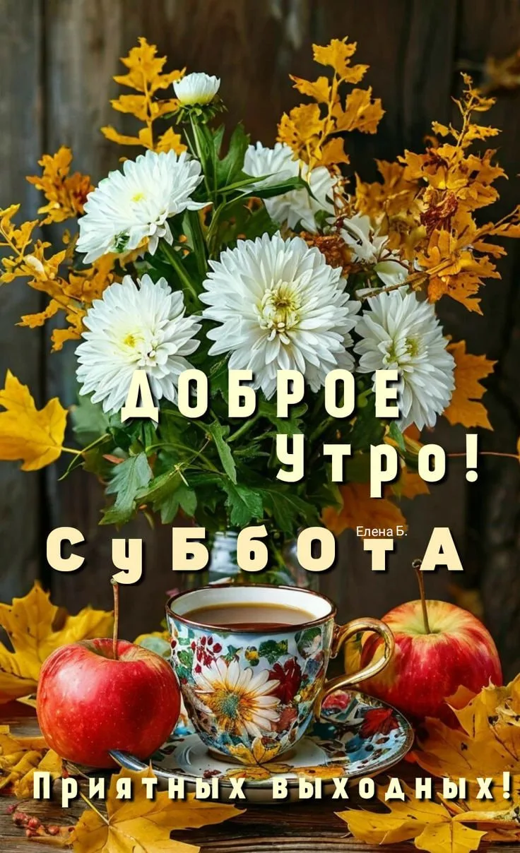 🌼Прикольные открытки