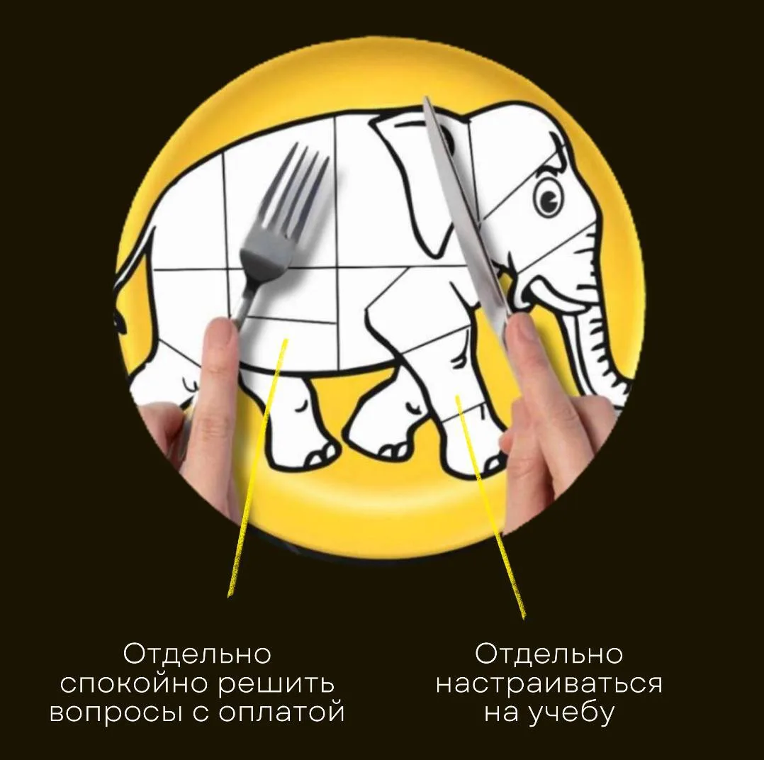 Я вообще за то, чтобы «ЕСТЬ СЛОНА ПО КУСОЧКАМ» 🍽️