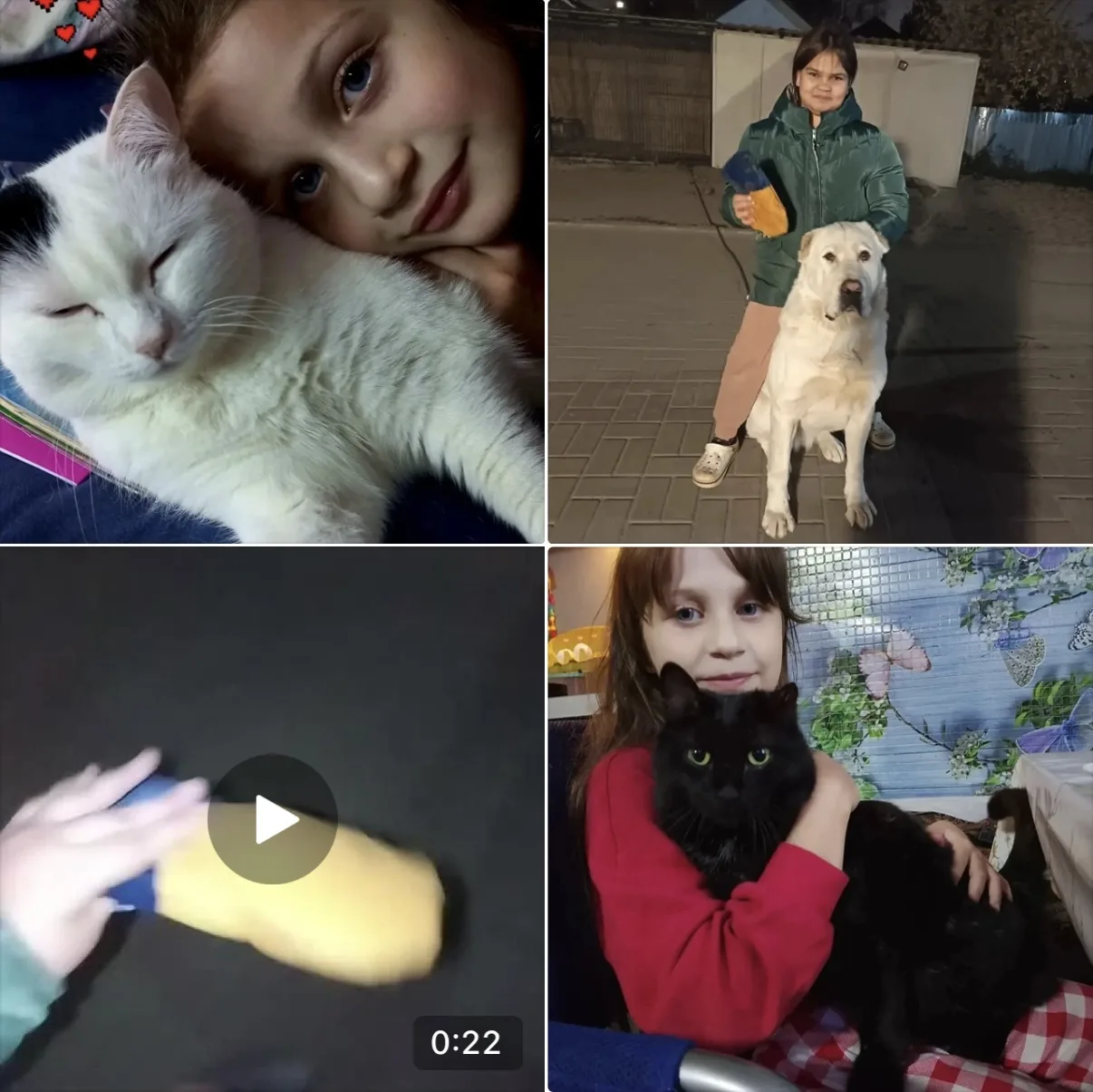 🐾 Тепло своими руками: как наши ученики заботятся о питомцах! Зима уже не за горами, а...