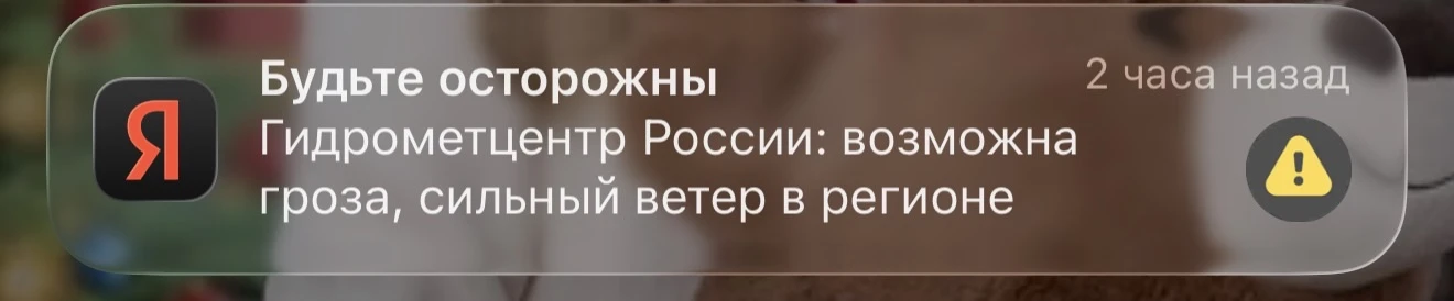 День, когда Лена поехала на вечеринку опен спейс первый раз за год