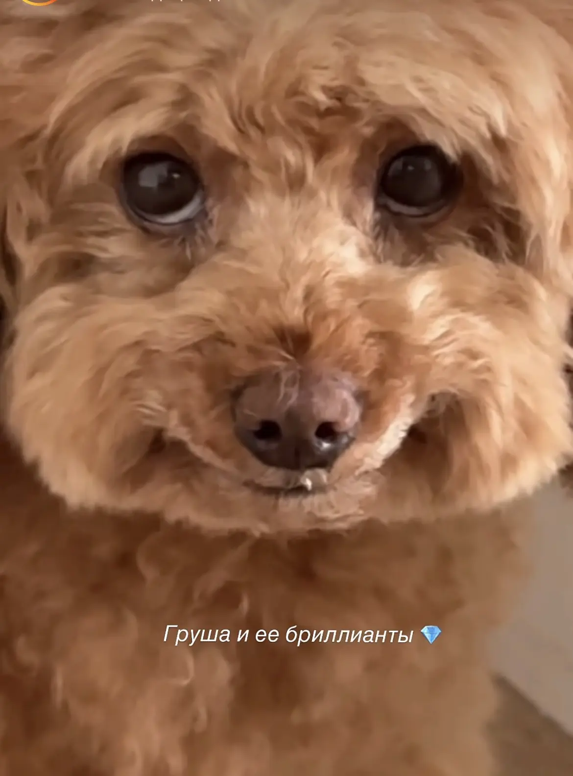 Ничего милее вы сегодня не увидите 🩷