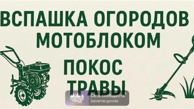 89043878649