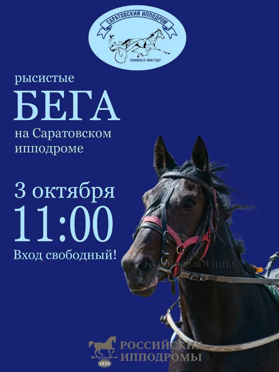 🐎 Бега на ипподроме в субботу