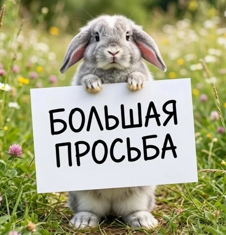 Любимые наши покупательницы ❤