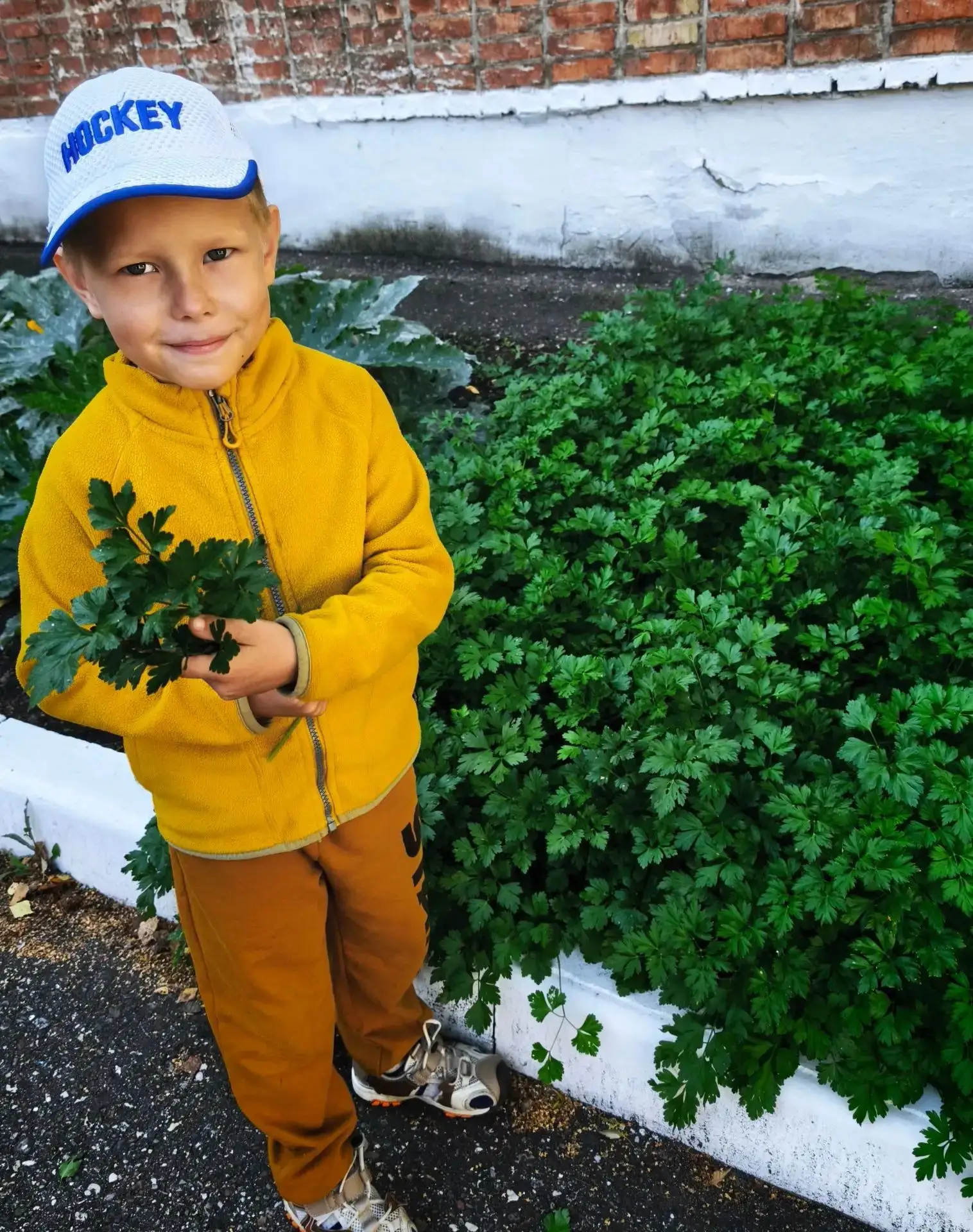🌿 Сегодня дети из старшей группы превратились в настоящих юных агрономов!