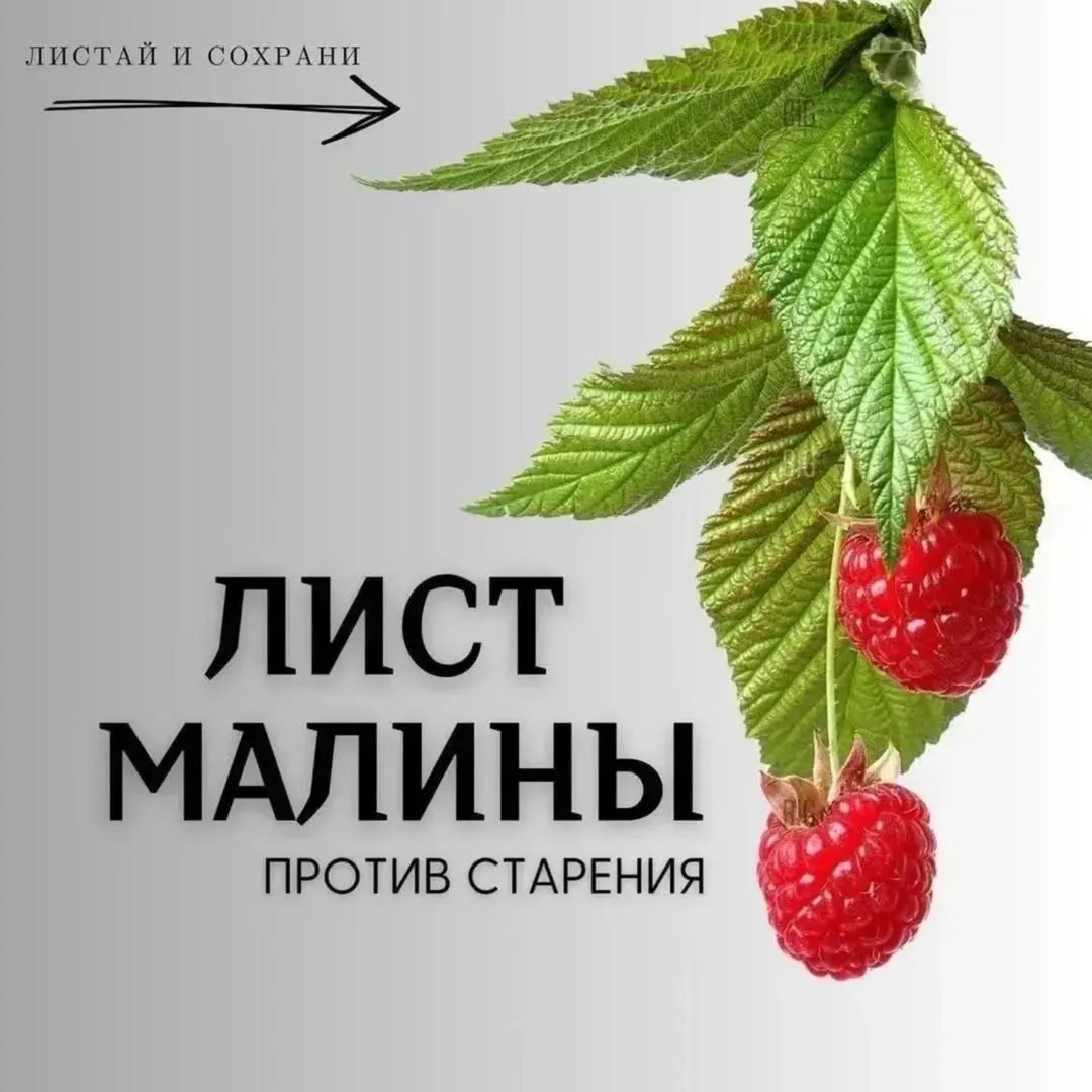Ягода Малинка