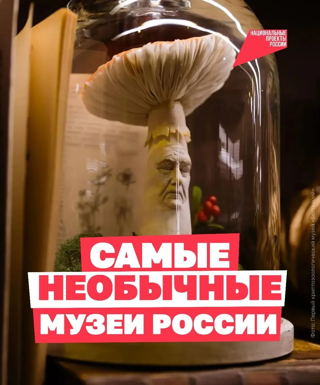 🕵 Заглянуть в пасть кашалота, встретить мифических существ и спуститься под лёд!