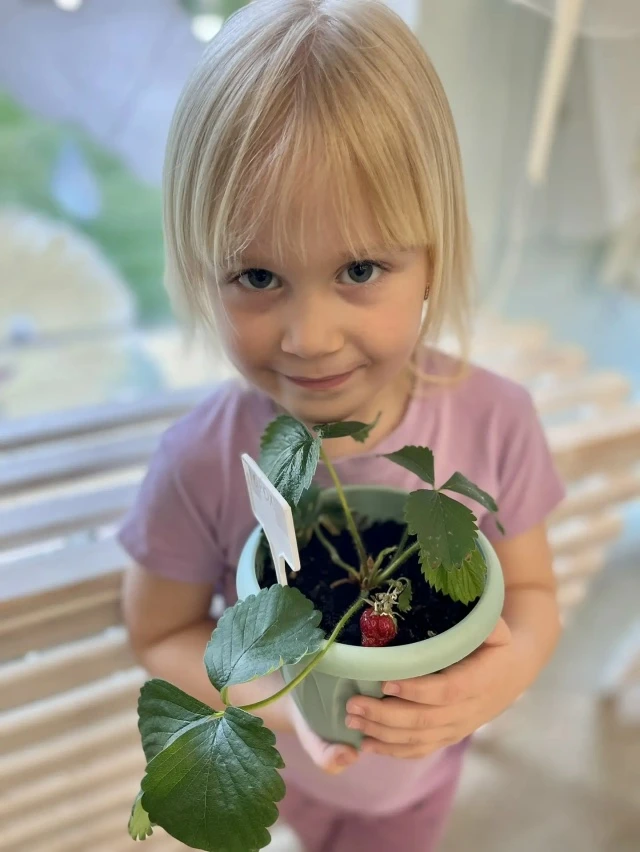 🍓✨ Отличные новости из агрогруппы! 🌾