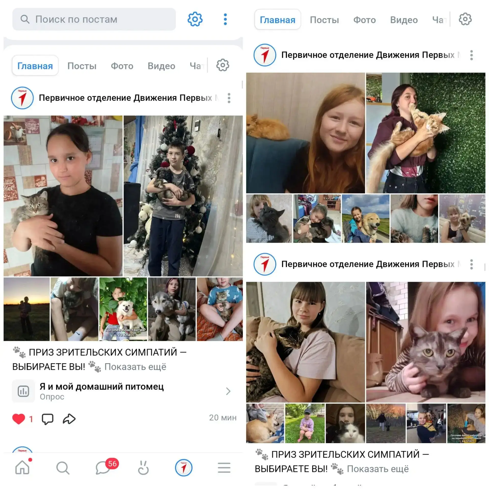 📸 ВНИМАНИЕ! ГОЛОСОВАНИЕ! 📸