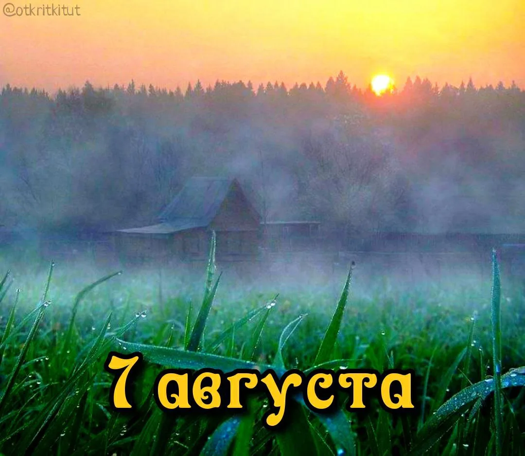 Праздники 7 августа 🎈