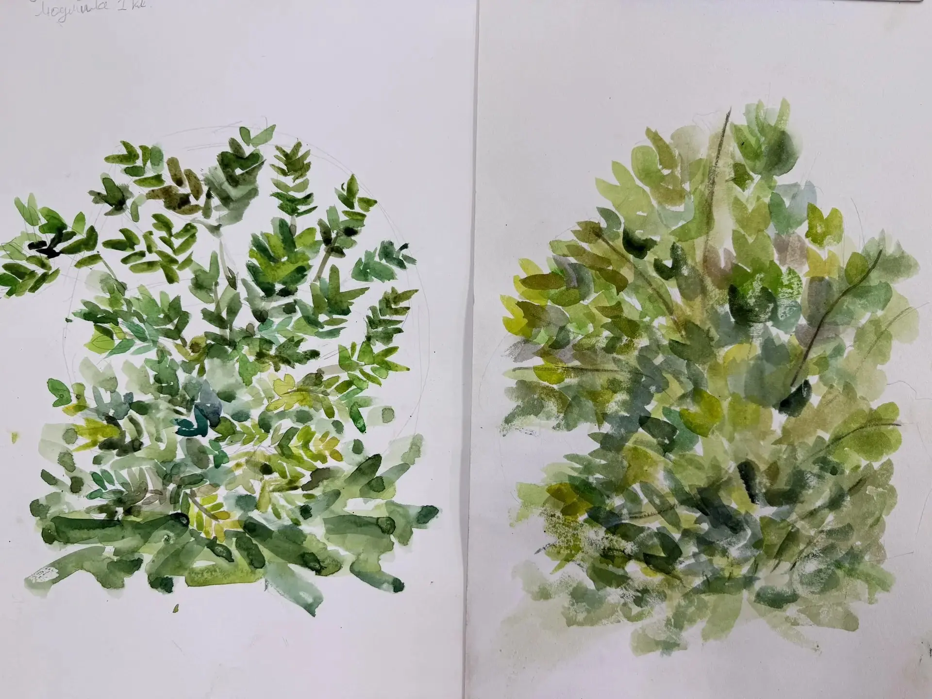 🎨 Пленэрные работы учеников. Замечательная акварельная живопись!