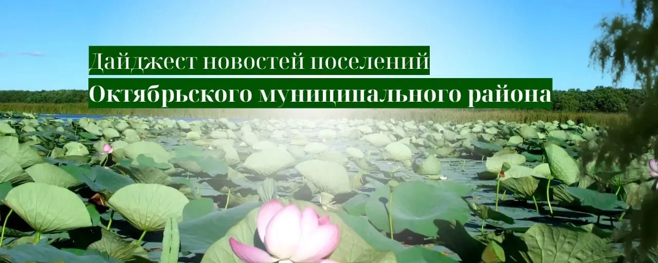 Новости поселений Октябрьского района – короткой строкой