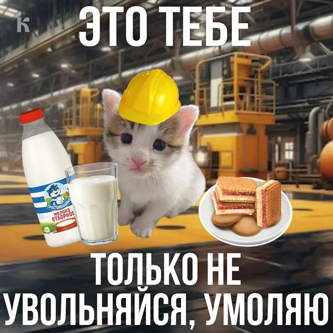 Как ощущается рабочий понедельник летом