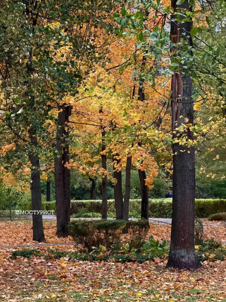 Осень в "Усадьбе Трубецких" 🍂