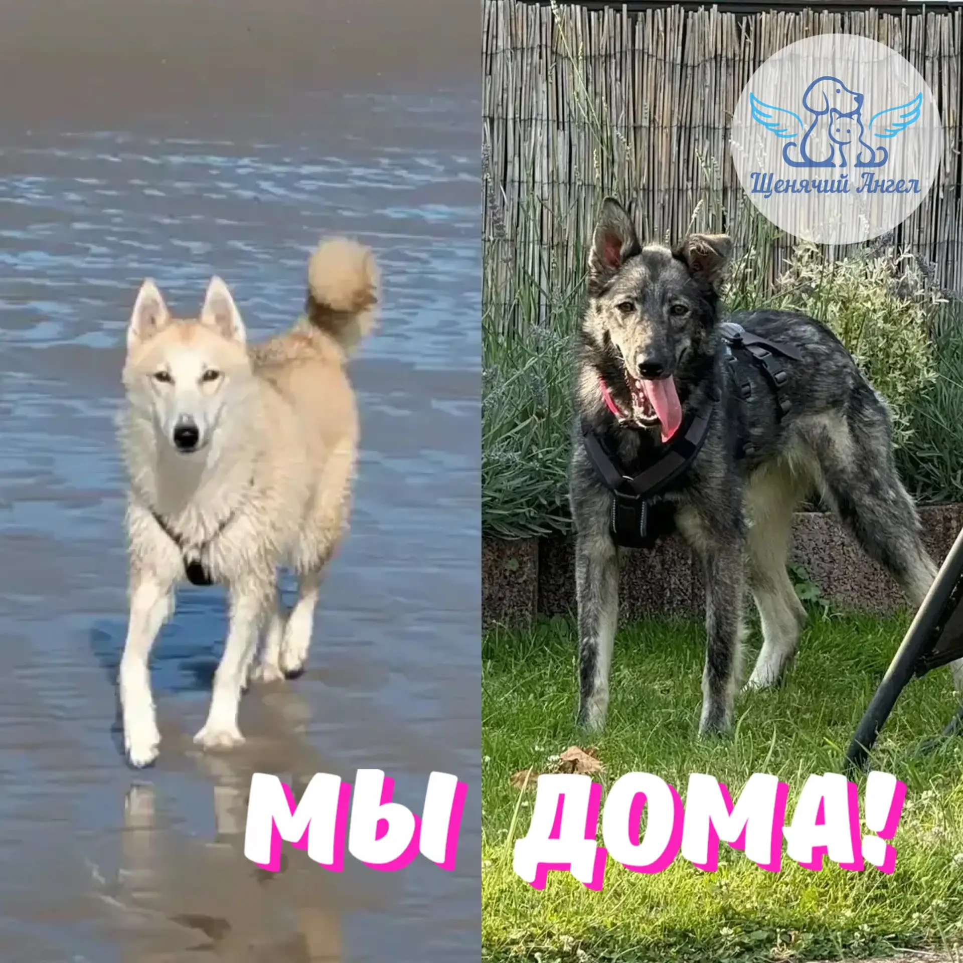 АДЕЛЬ И АВРОРА – МЫ ДОМА 🎉!