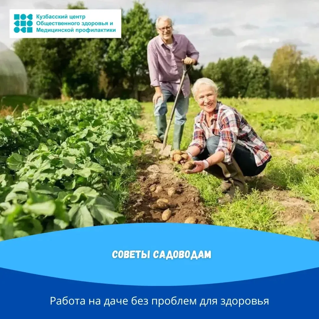 📍Многие из нас имеют дачу. Чтобы дачный отдых не обернулся проблемами со здоровьем, со...
