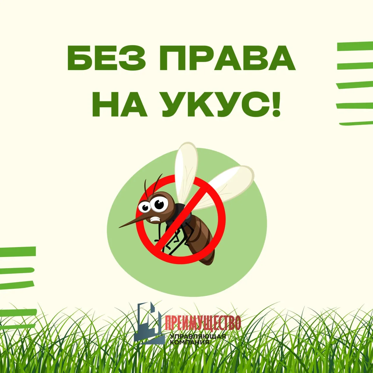 Ни один комар не пройдет!
